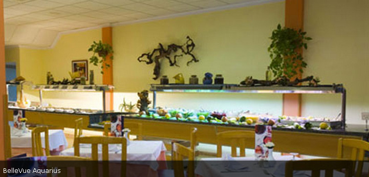 Bellevue Aquarius Apartment Puerto del Carmen  Bagian luar foto